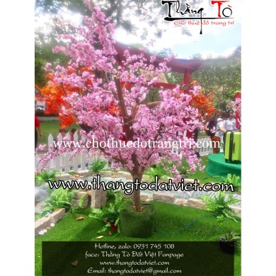 cho thuê cảnh Nhật Bản 5